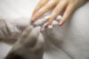 Maniküre mit Shellac